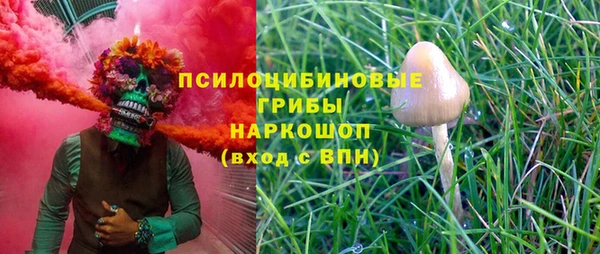 СК Осинники