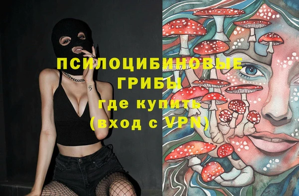 первитин Абинск