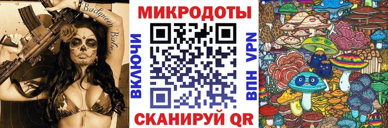 Галлюциногенные грибы MAGIC MUSHROOMS  купить закладку  Каменка 